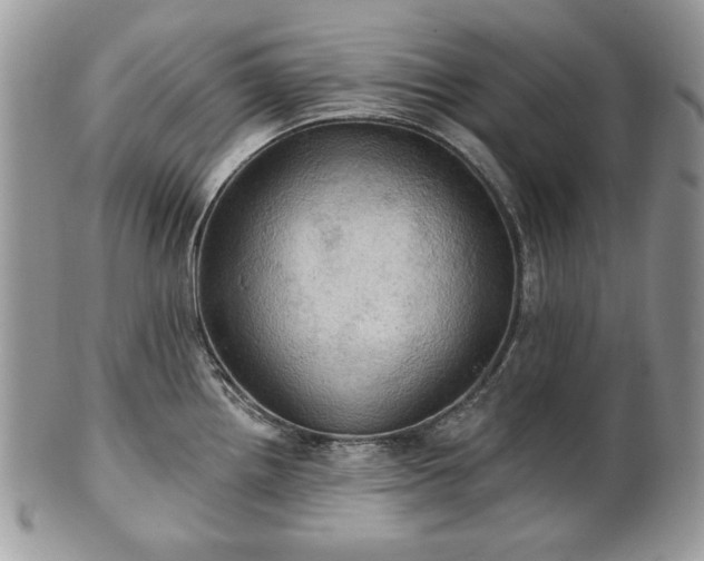 X0000101161242200807071150