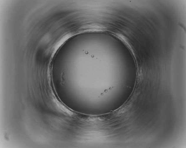 X0000101161243200807071150