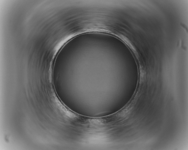 X0000101161246200807071150