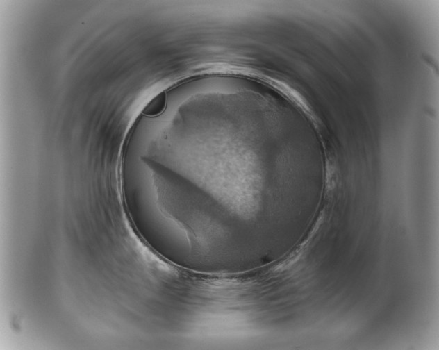 X0000101161247200807071150