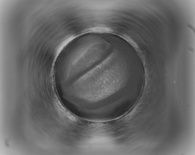 X0000101161248200807071150
