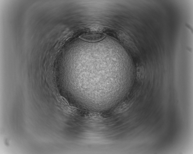 X0000101161249200807071149