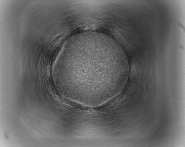 X0000101161250200807071149
