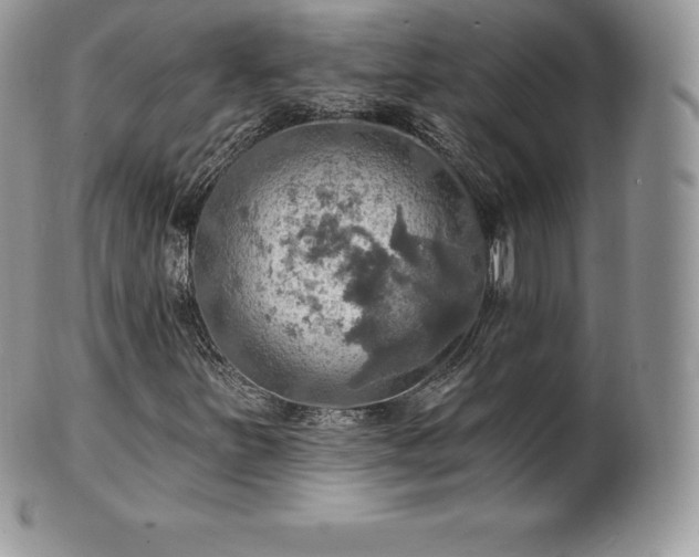 X0000101161251200807071149