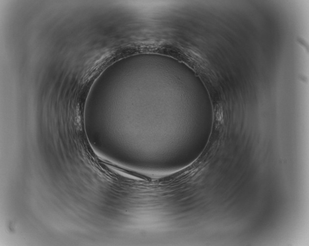 X0000101161252200807071149