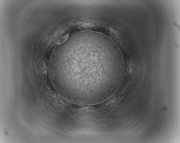 X0000101161253200807071149