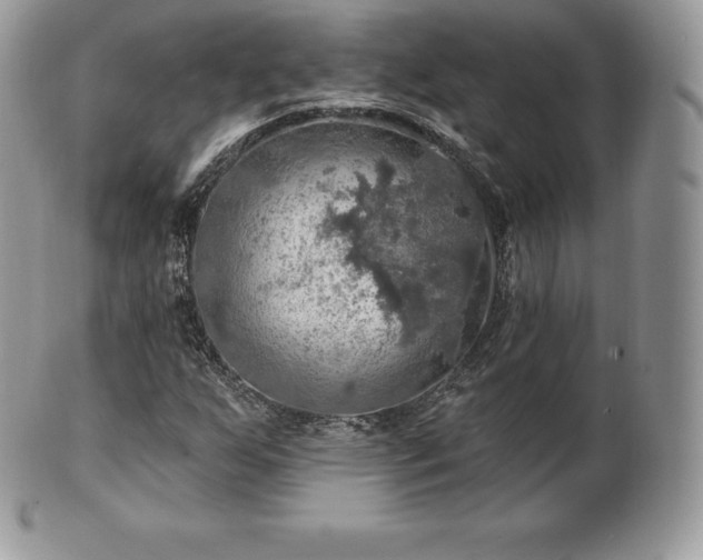 X0000101161255200807071149