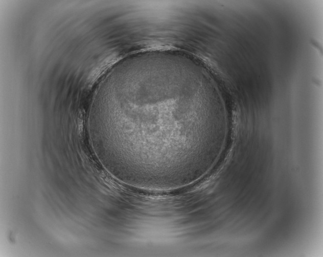 X0000101161257200807071149