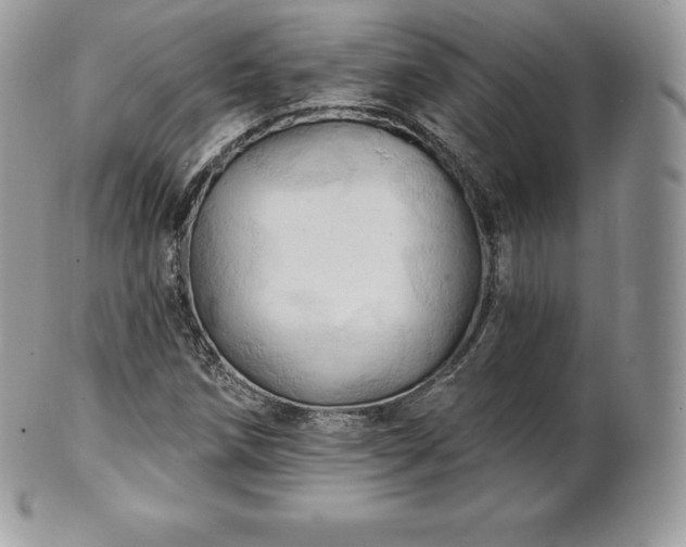 X0000101161258200807071149