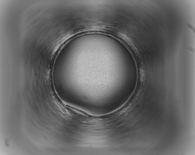 X0000101161260200807071149