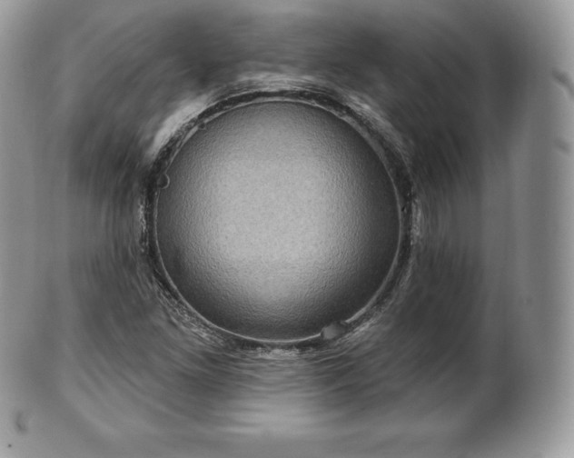 X0000101161261200807071149