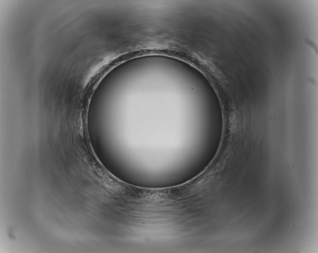 X0000101161262200807071149