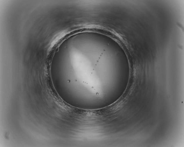 X0000101161263200807071149