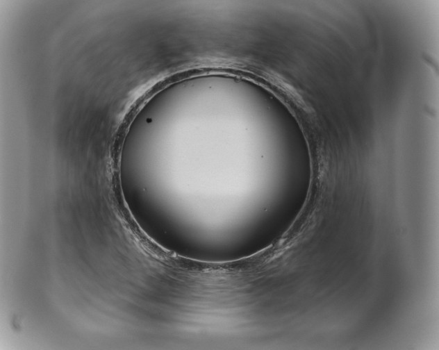 X0000101161264200807071149
