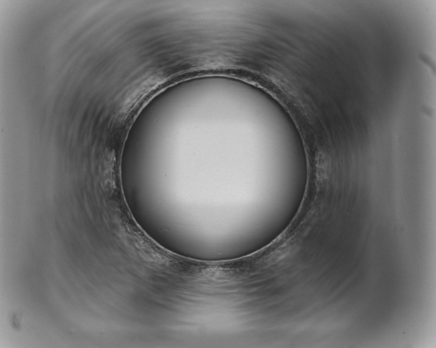 X0000101161265200807071149