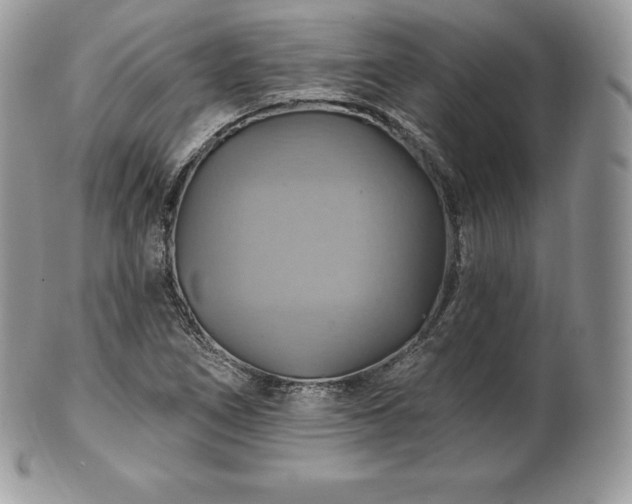 X0000101161266200807071149