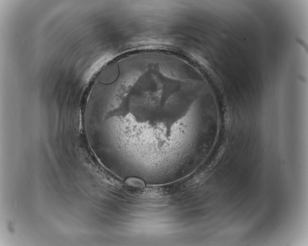 X0000101161267200807071149