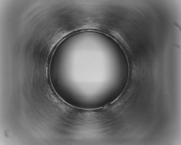 X0000101161268200807071149