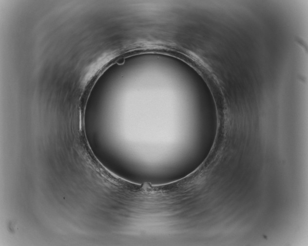 X0000101161269200807071149