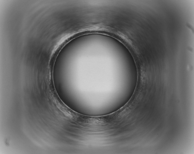 X0000101161270200807071149
