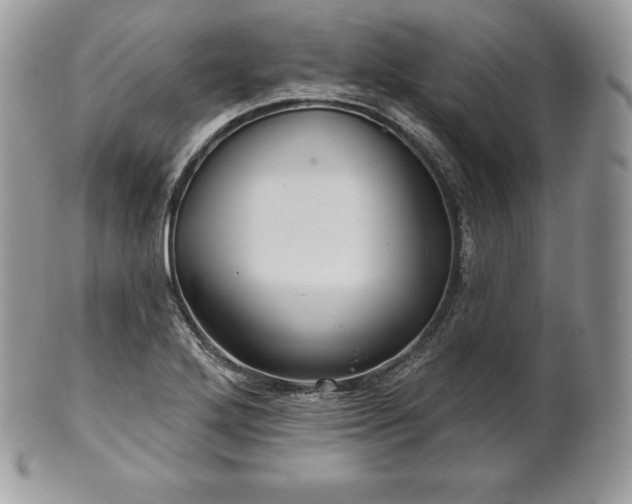 X0000101161272200807071149