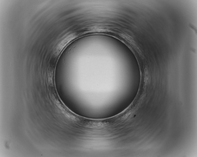 X0000101161273200807071149