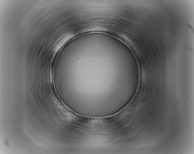 X0000101161274200807071149