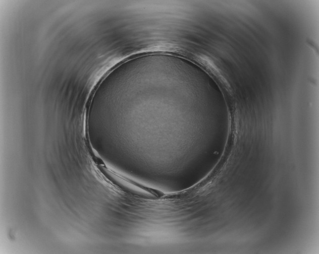 X0000101161276200807071149