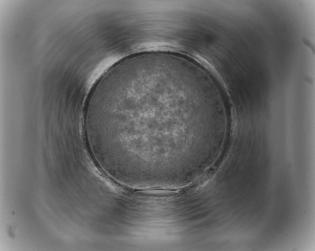 X0000101161277200807071149