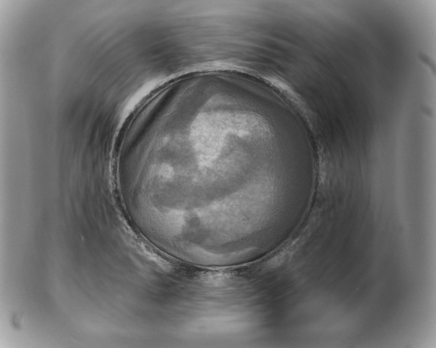 X0000101161278200807071149