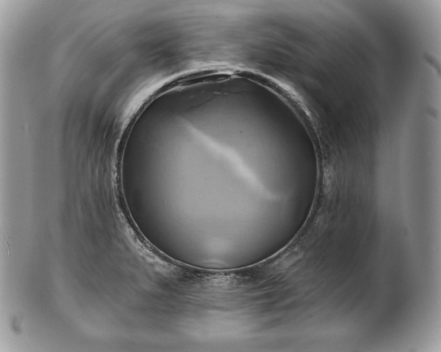 X0000101161279200807071149