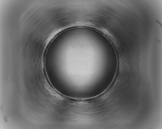 X0000101161280200807071149