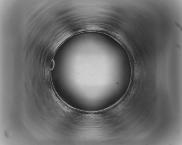 X0000101161281200807071149