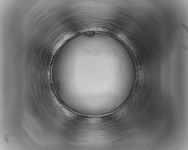 X0000101161282200807071149