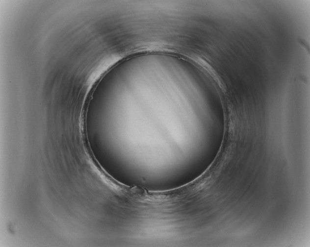 X0000101161285200807071149