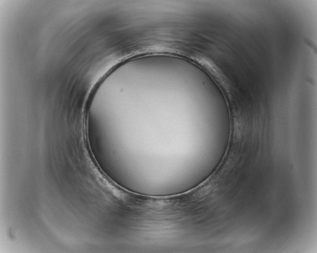 X0000101161286200807071149