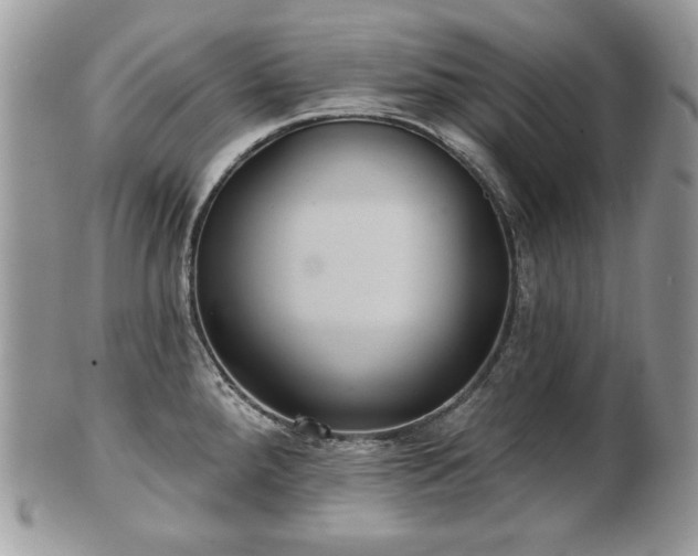 X0000101161288200807071149