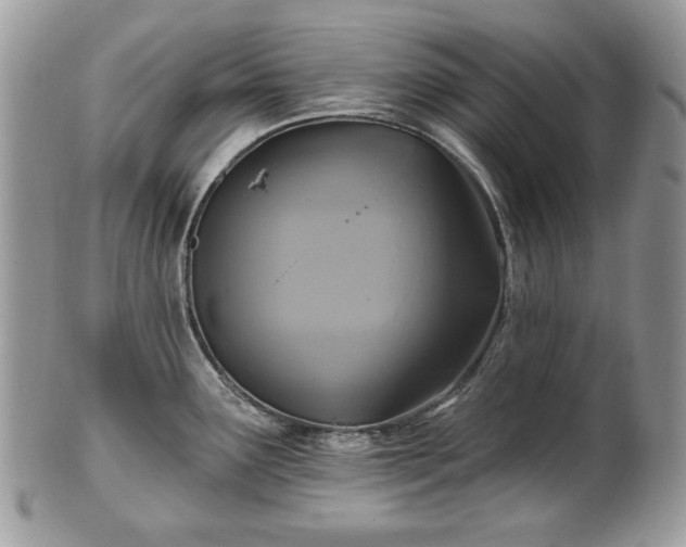X0000101161291200807071149