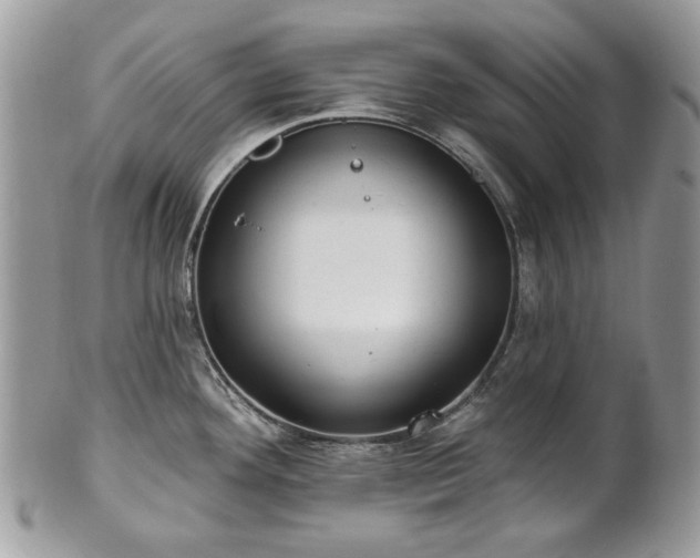X0000101161292200807071149