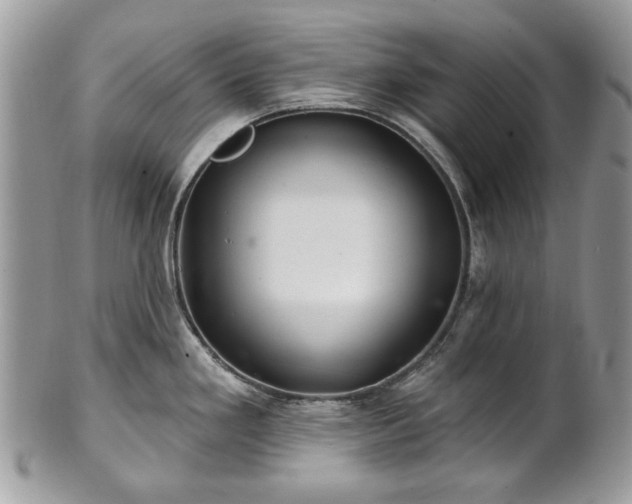 X0000101161293200807071149