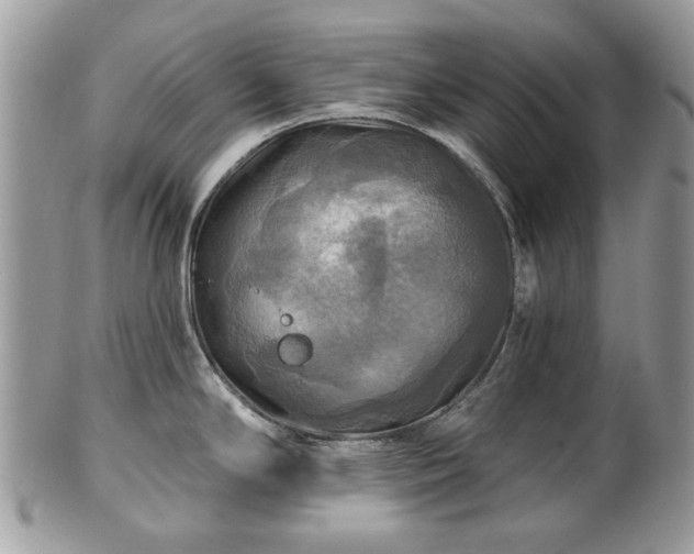 X0000101161294200807071149