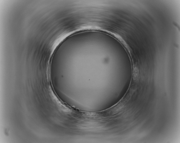 X0000101161295200807071149