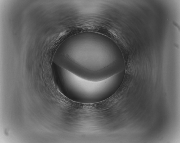 X0000101161297200807071148