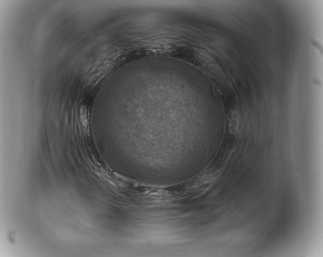 X0000101161298200807071148