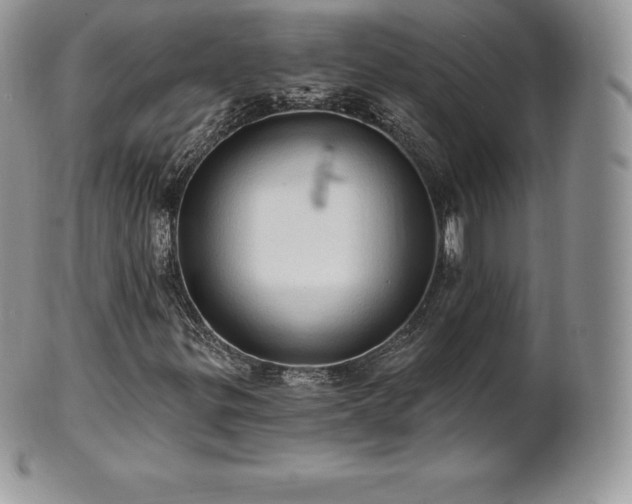 X0000101161299200807071148