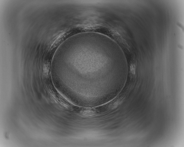 X0000101161300200807071148