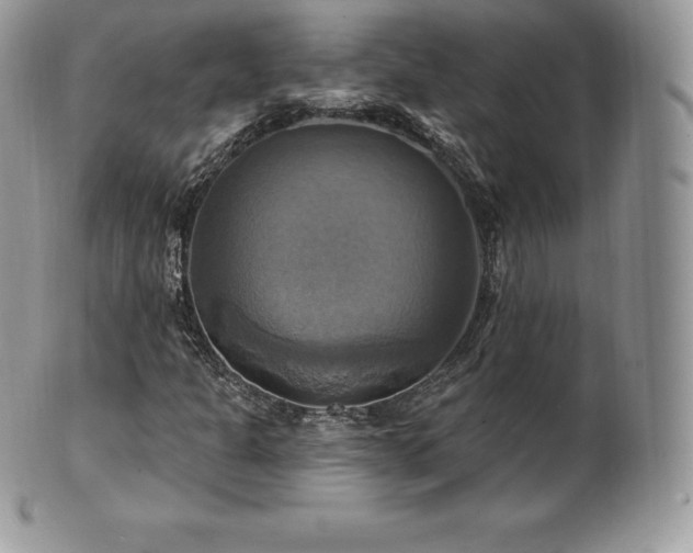X0000101161301200807071148