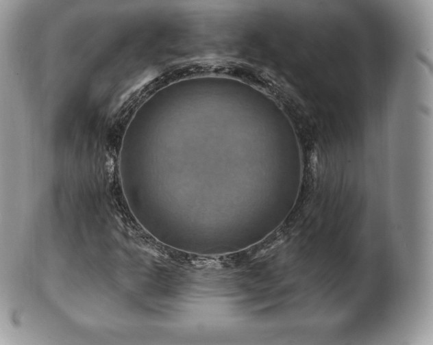 X0000101161302200807071148