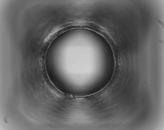 X0000101161304200807071148