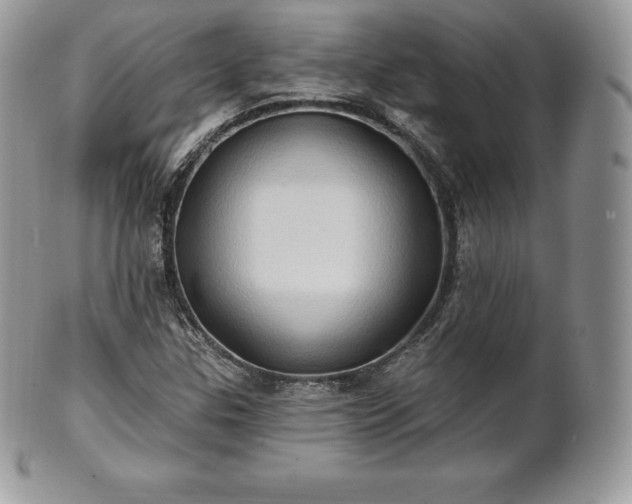 X0000101161307200807071148